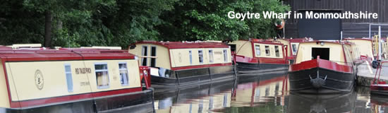 Goytre
